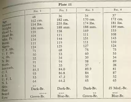 Plate 11